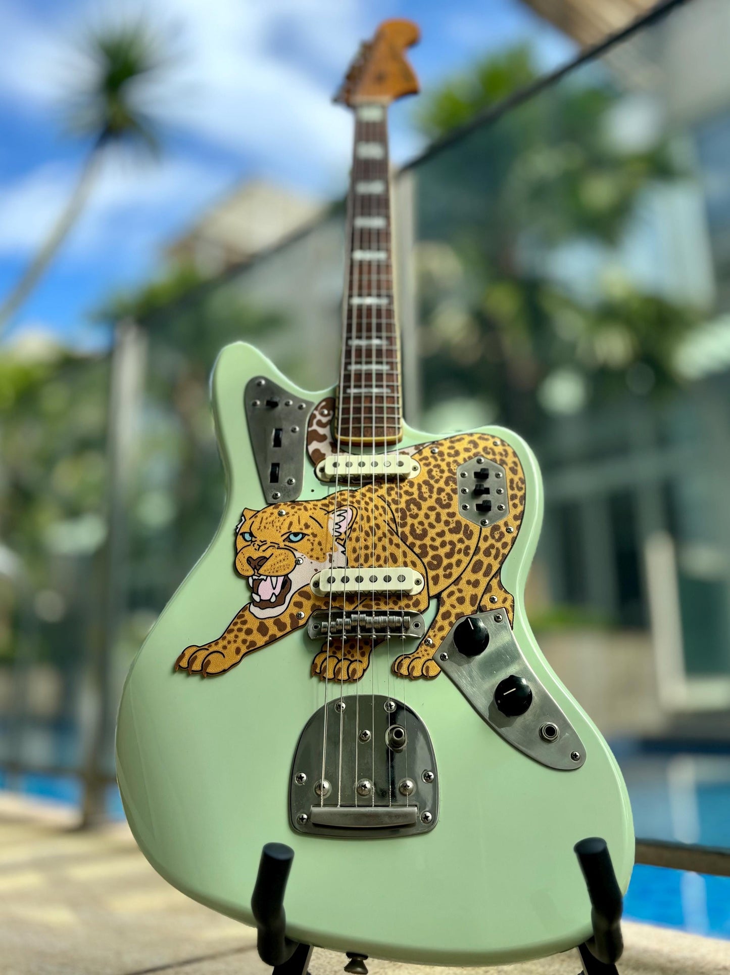 Jaguar Jaguar Pickguard