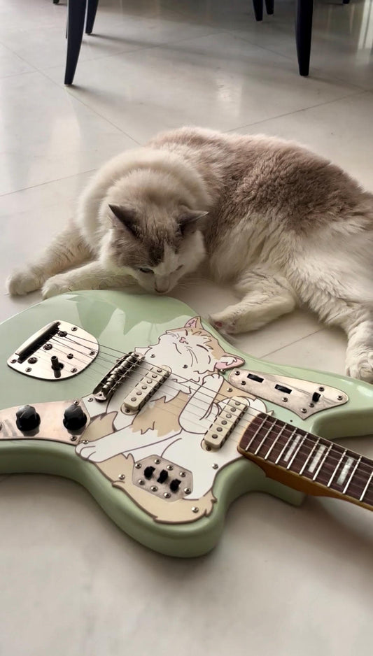 Jaguar Cat Pickguard | Squier Classic Vibe Jaguar Guitar