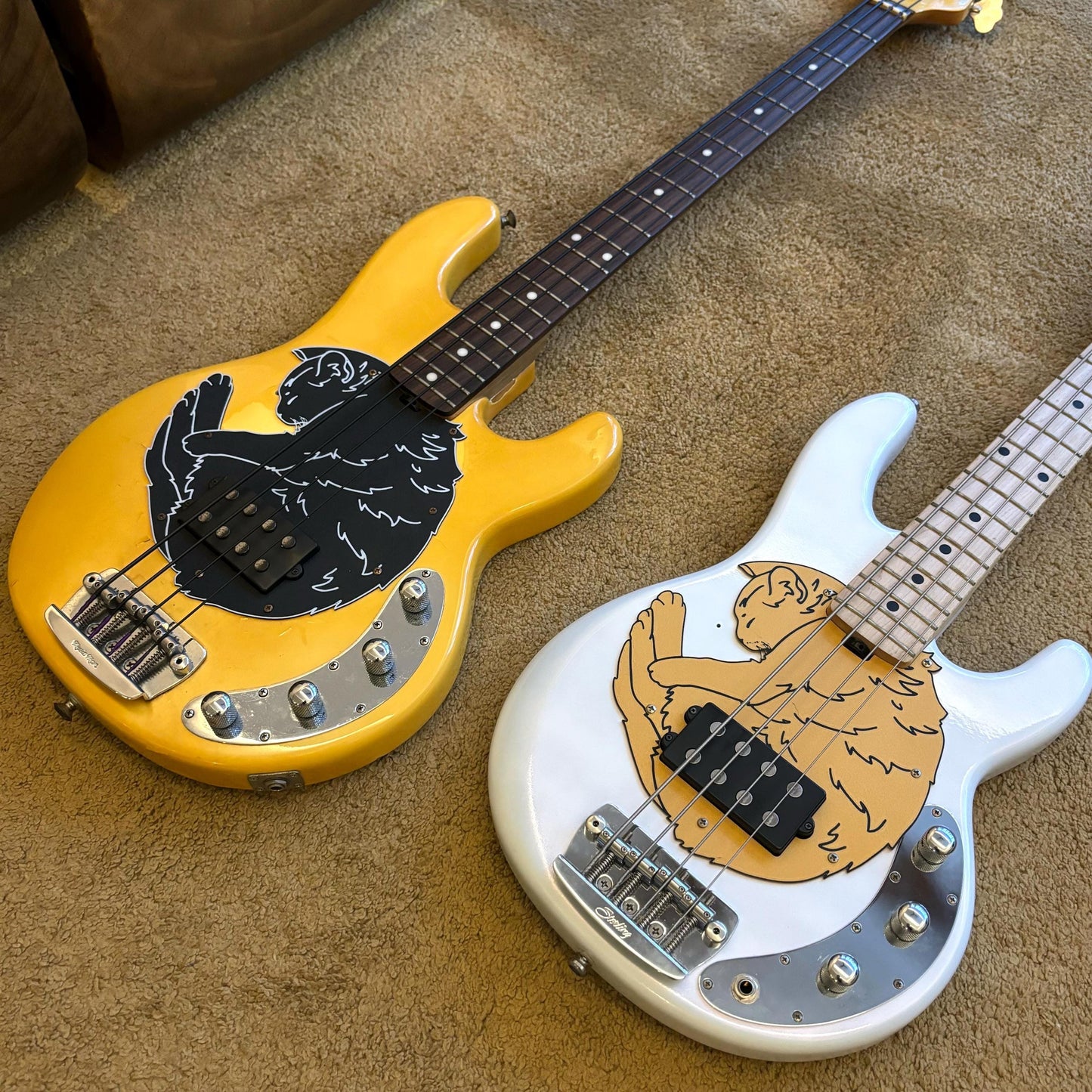 Meowsic Man Stingray Bass Cat Pickguard