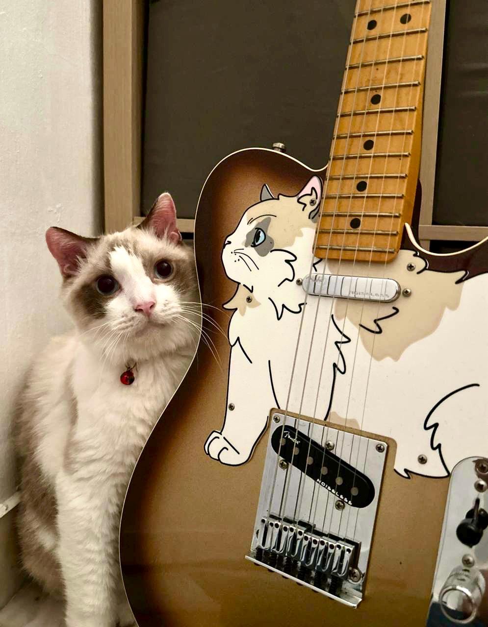 Telecaster Cat Pickguard | Telecatster