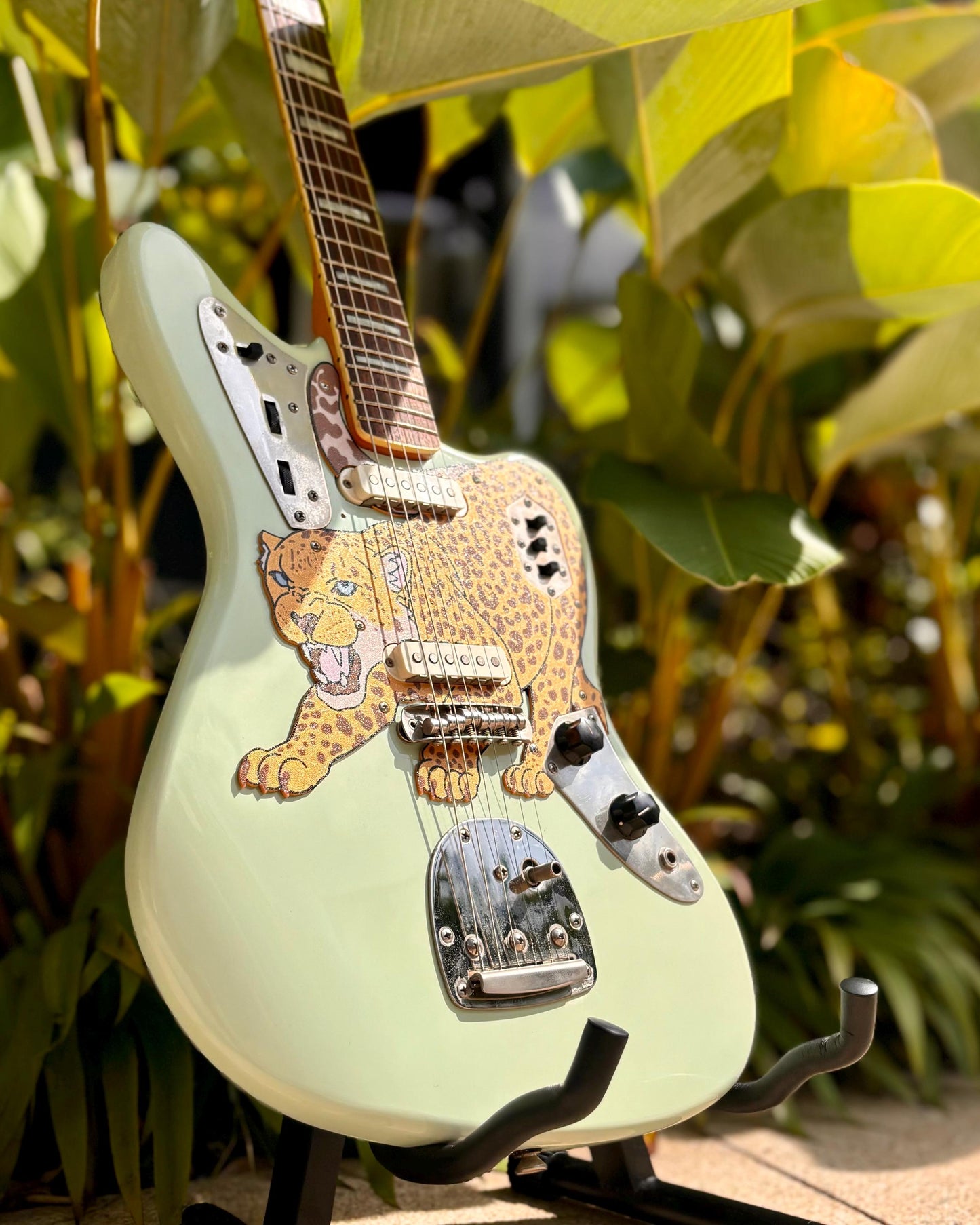 Jaguar Jaguar Pickguard