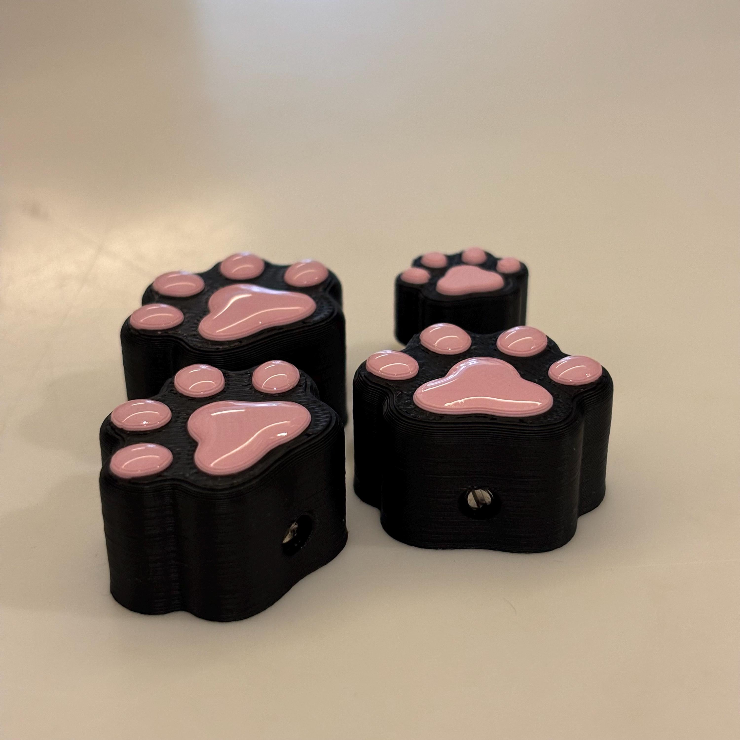 Cat's Paw 額装③ Cat Paw Guitar Knobs & Switch Covers – Threestools
