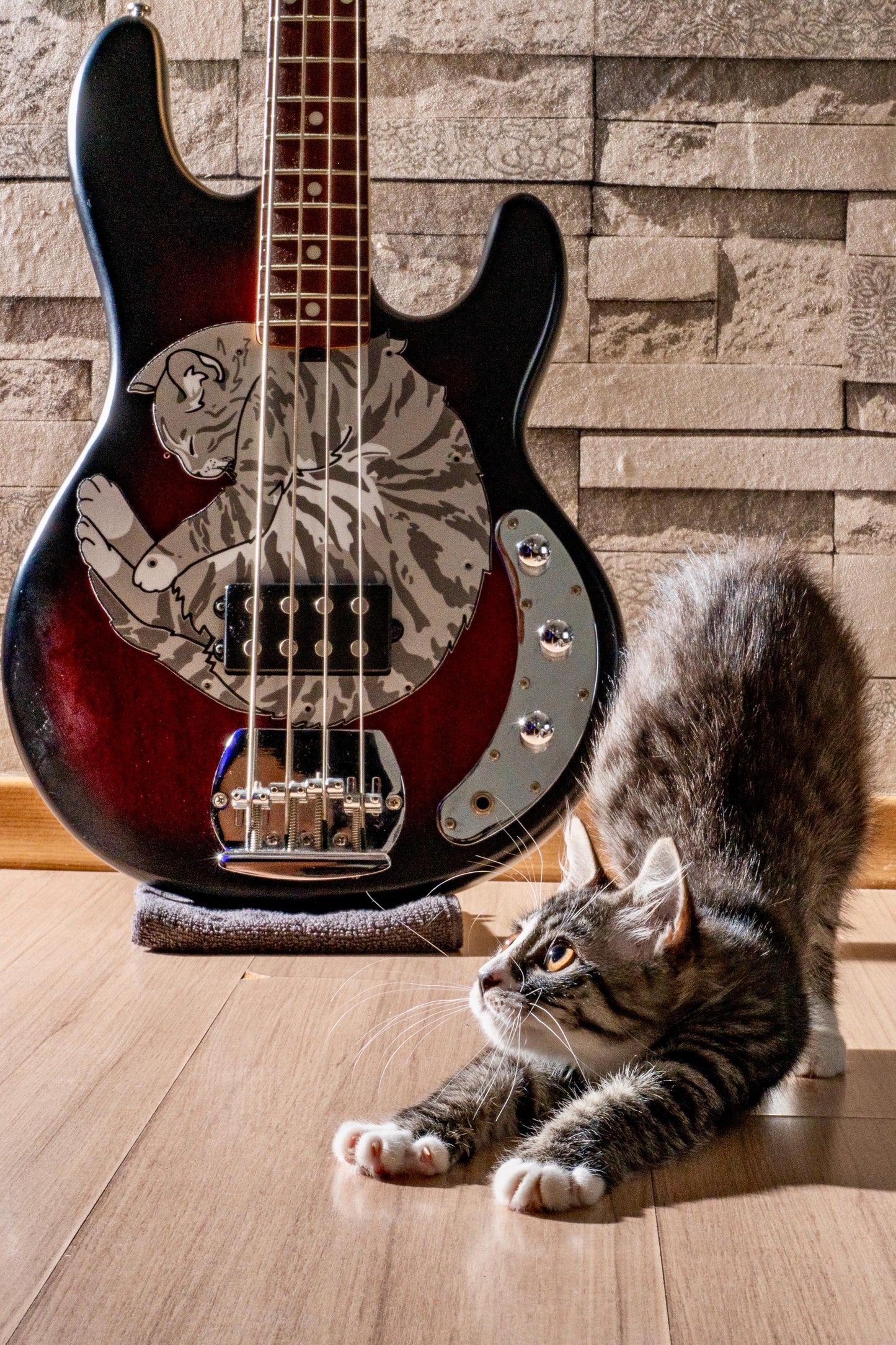 Meowsic Man Stingray Bass Cat Pickguard