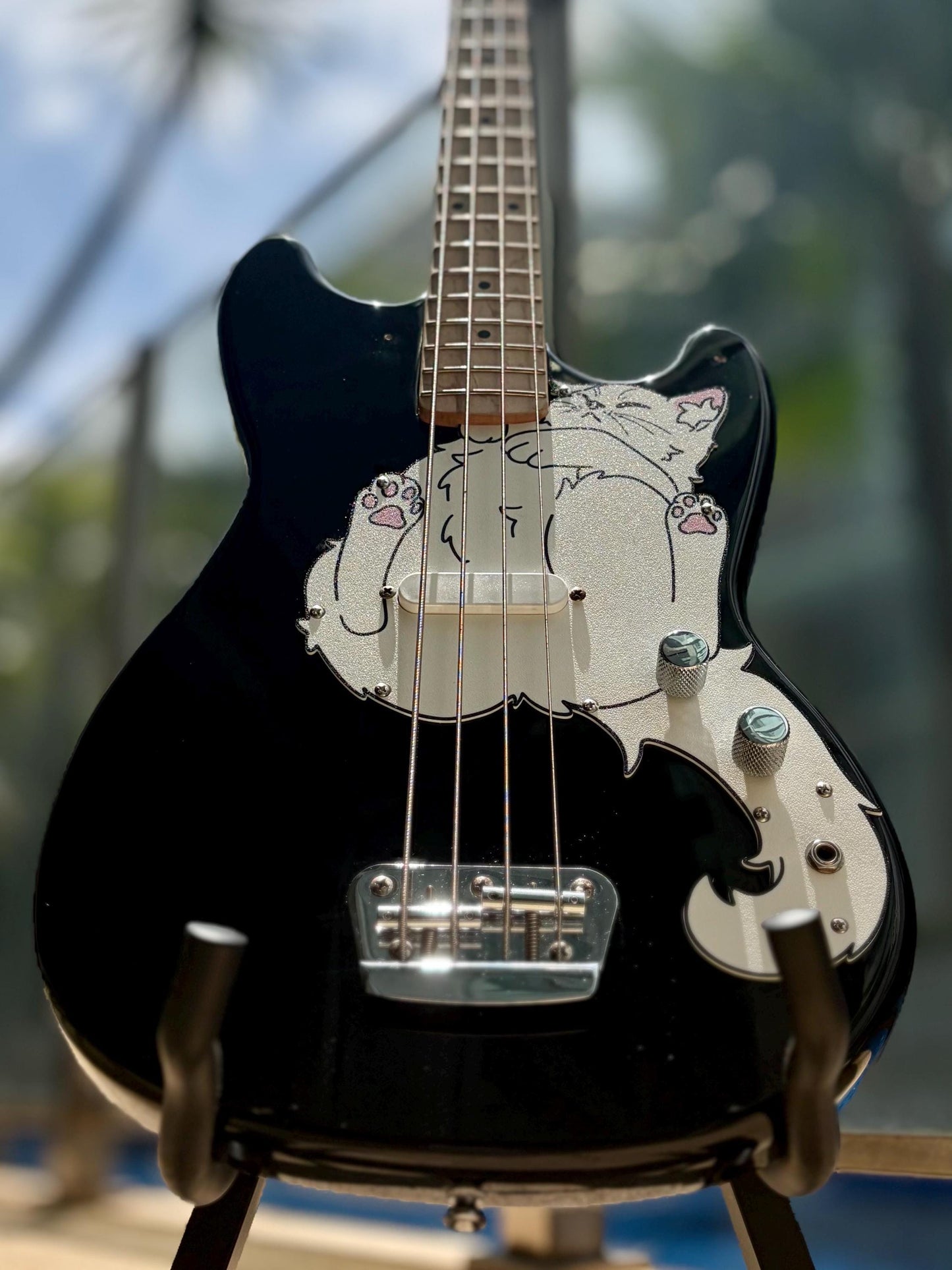 Bronco Bass Cat Pickguard, Bron-cat Pickguard for Squier Bronco