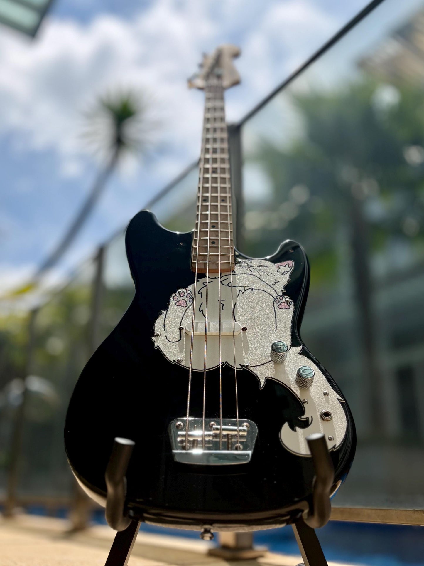 Bronco Bass Cat Pickguard, Bron-cat Pickguard for Squier Bronco