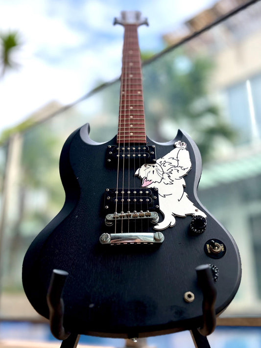 SG Guitar Pickguard | Fun Animal Design for Epiphone SG Special VE