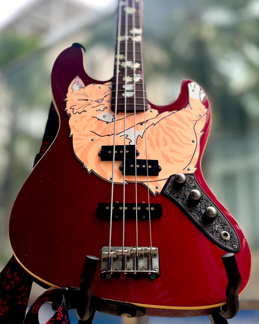 Fender Aerodyne PJ Bass Cat Pickguard