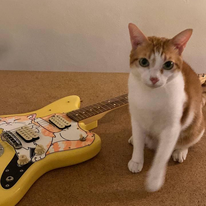 Jazzmaster Cat Pickguard | Jazzmeowster