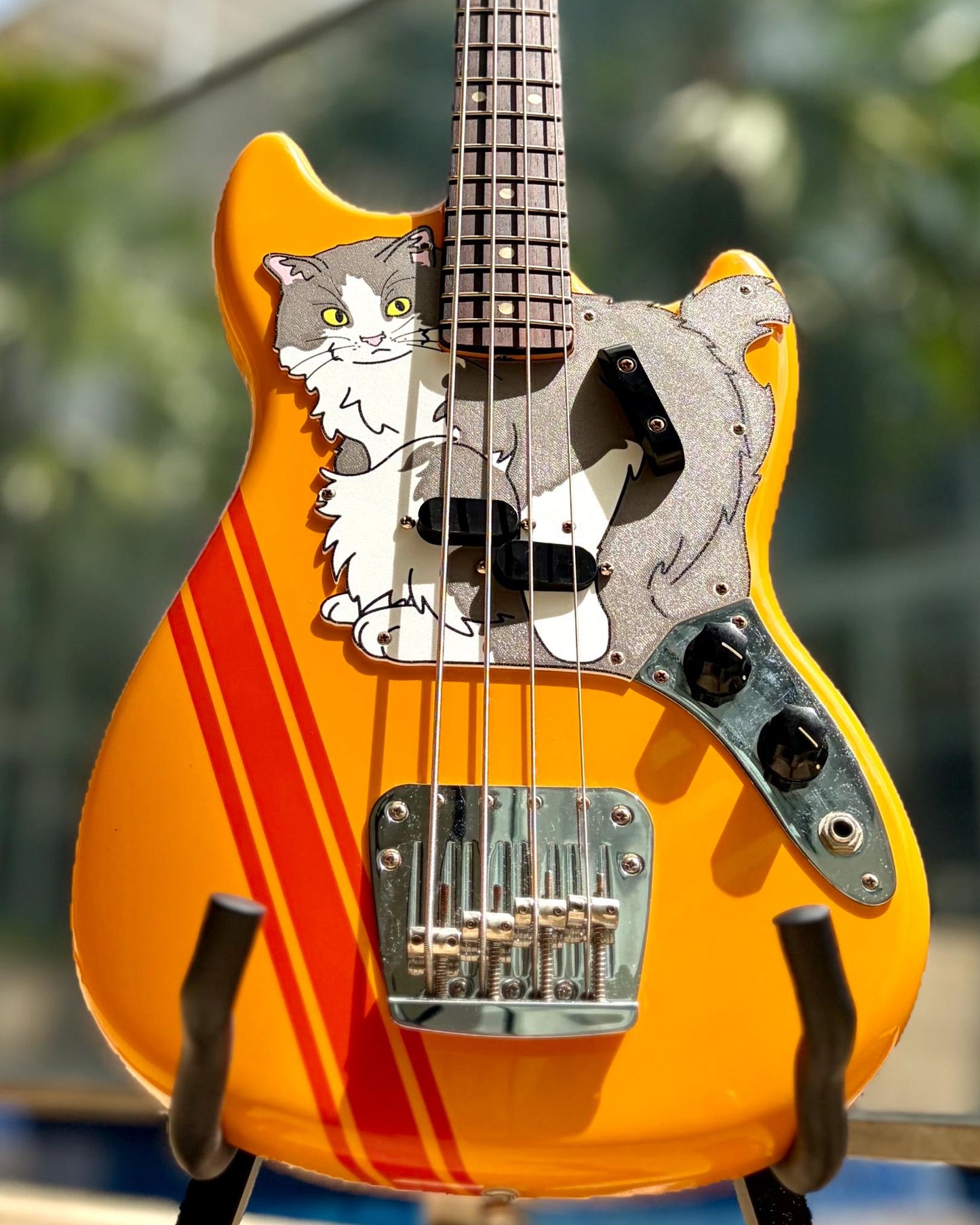 Fender Mustang Bass Cat Pickguard | Meowstang
