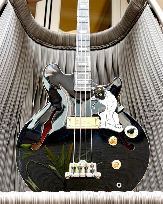 Epiphone Jack Casady Bass Cat Pickguard, "Jack Catsady" | Fun Animal Design for Epiphone