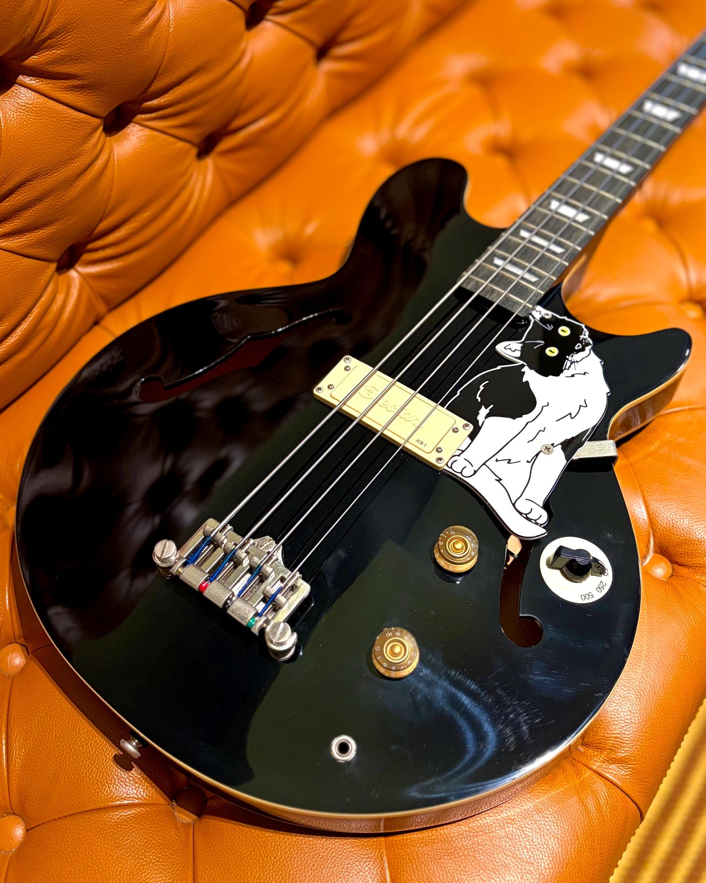 Epiphone Jack Casady Bass Cat Pickguard, "Jack Catsady" | Fun Animal Design for Epiphone