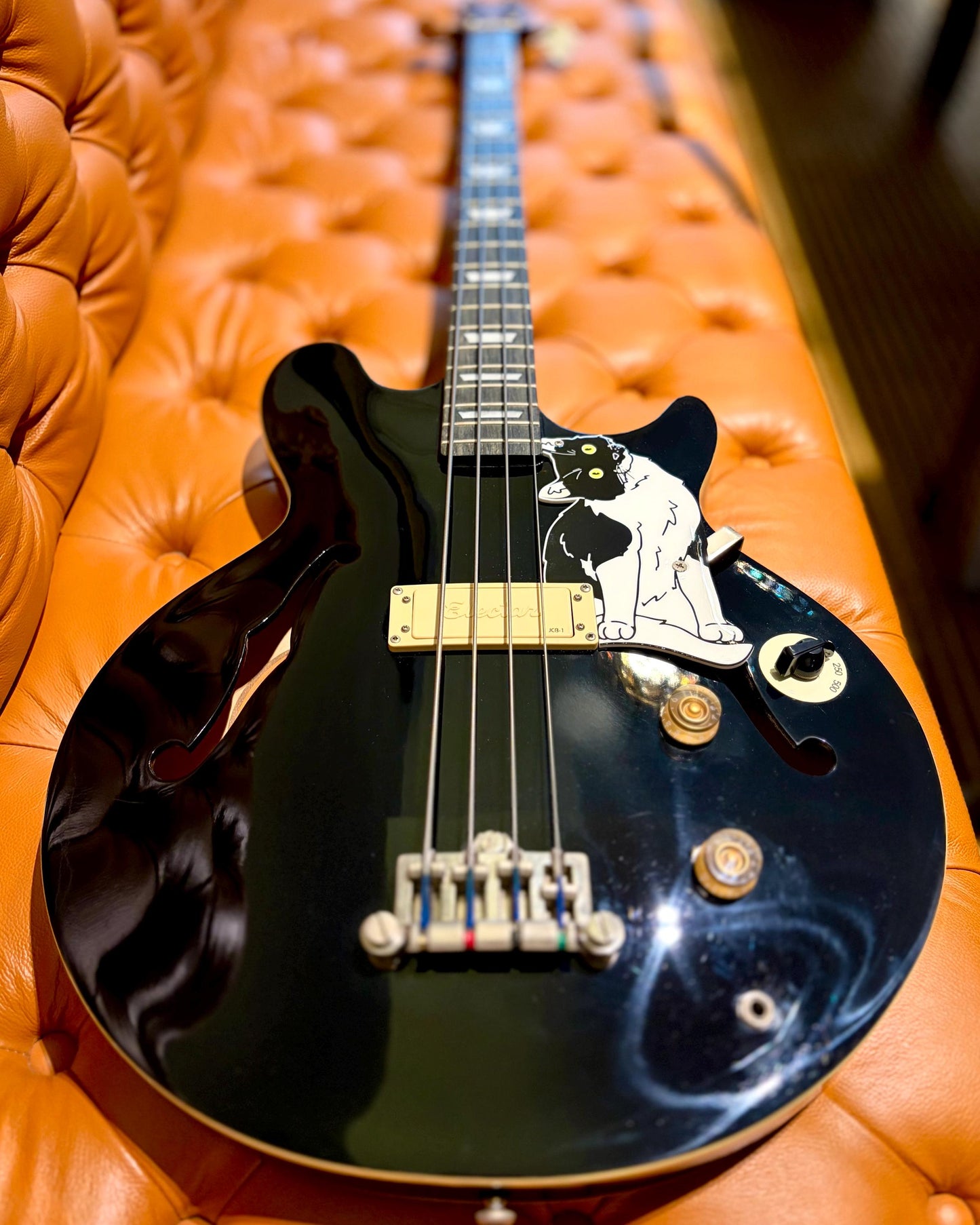 Epiphone Jack Casady Bass Cat Pickguard, "Jack Catsady" | Fun Animal Design for Epiphone