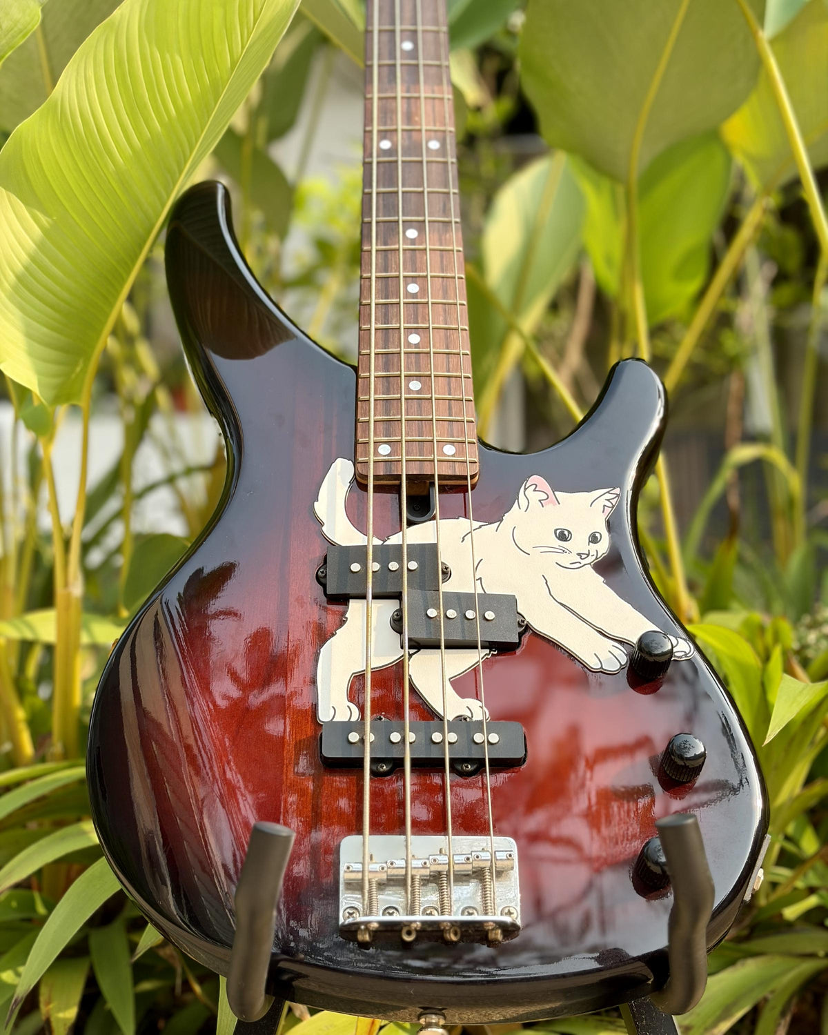 Yamaha TRBX174 Bass Cat Pickguard