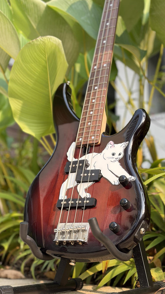 Yamaha TRBX174 Bass Cat Pickguard