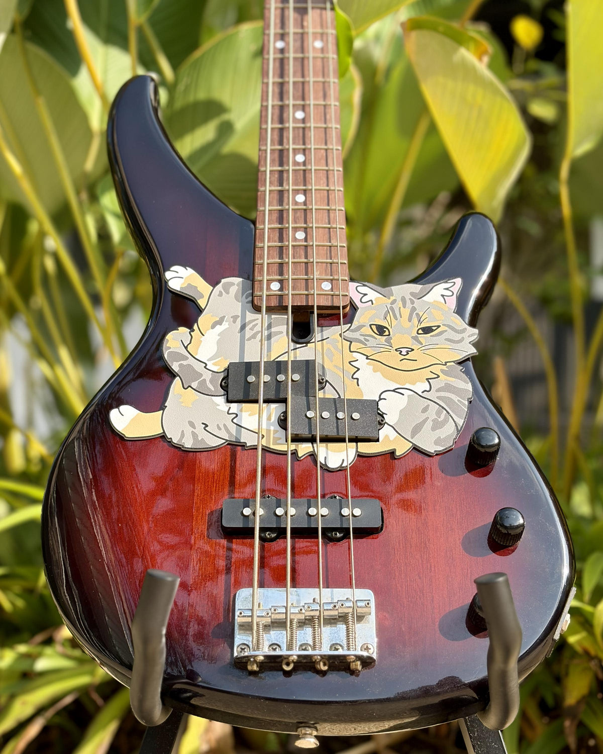 Yamaha TRBX174 Bass Cat Pickguard